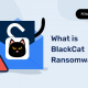 什么是黑猫勒索软件