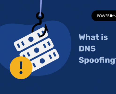 Cos'è lo spoofing DNS 1