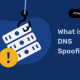 what is DNS spoofing