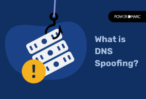 What is DNS spoofing