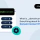What is _domainconnect? Everything You Need to Know About the Domain Connect Protocol połączenie z domeną