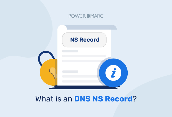 What is a DNS NS Record?
