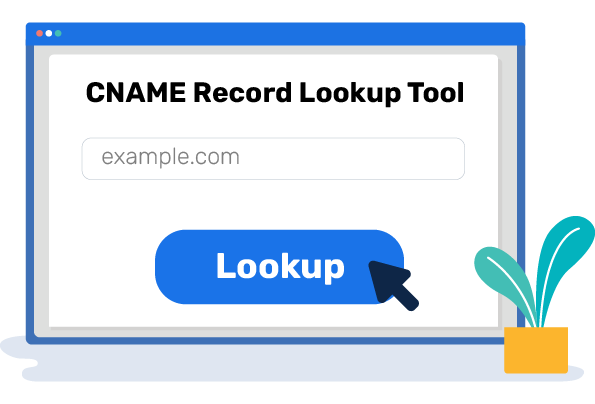Инструмент поиска записей CNAME