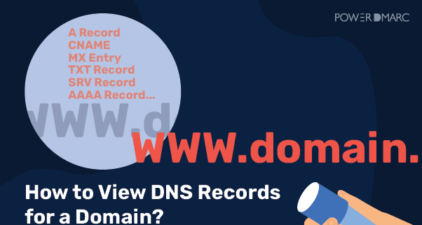 hvordan se DNS-poster for et domene?