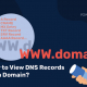 how to view DNS records for a domain?