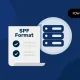 SPF Format : SPF Basic & Advanced Formats Explained Format Spf 01