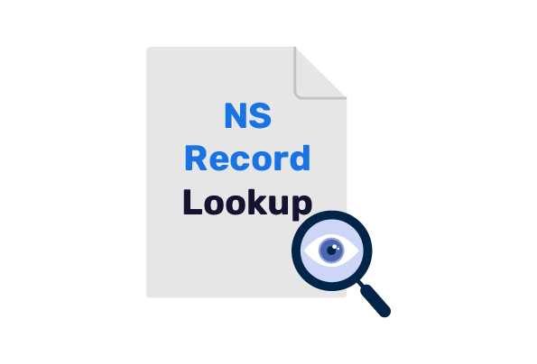DNS NS Record Lookup
