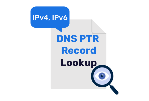 DNS PTR record lookup tool