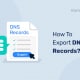 Como exportar registos DNS