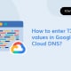 Comment saisir des valeurs TXT dans Google Cloud DNS ?