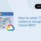 How to Enter TXT Values in Google Cloud DNS? Hoe TXT-waarden invoeren in Google Cloud DNS