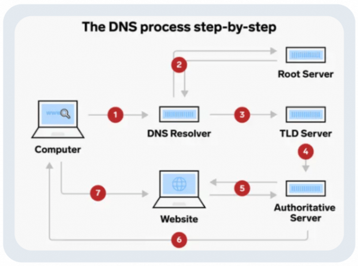 DNS dns