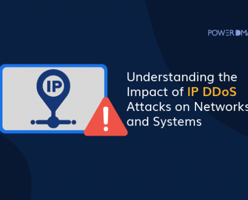 Understanding the Impact of IP DDoS Attacks on Networks and Systems