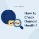 How to Check Your Domain’s Health? How to Check Domain Health