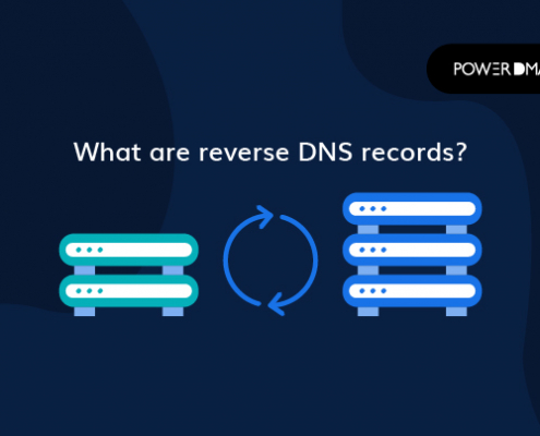 What are reverse DNS records