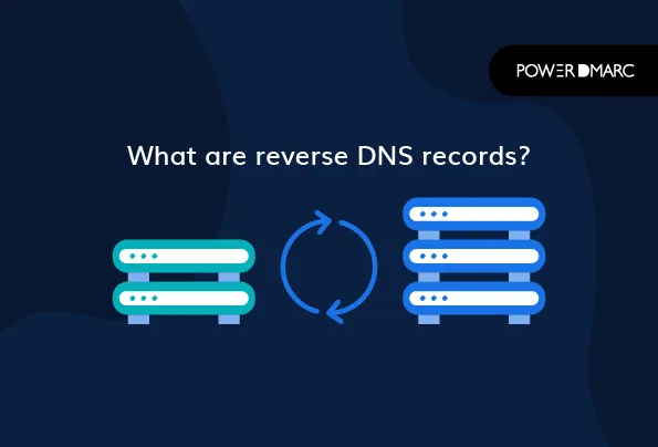 Czym są odwrócone rekordy DNS