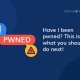 Have I been pwned? This is what you should do next!