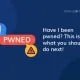 Have I Been Pwned? Steps to Check, Fix, and Stay Safe Have I been pwned? This is what you should do next!