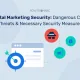 Digital Marketing Security: Dangerous Cyber Threats & Necessary Security Measures Seguridad del marketing digital: amenazas cibernéticas peligrosas y medidas de seguridad necesarias