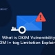 Vulnerabilidade do DKIM