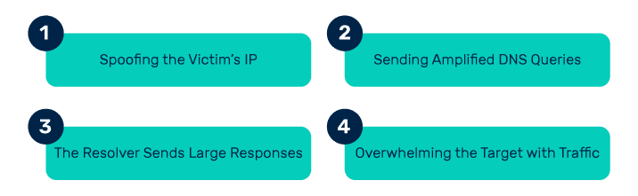 dns amplification attack