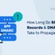 How Long Do SPF Records & DMARC Take to Propagate? Microsoft 365 entrante