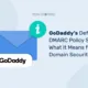 Il cambiamento della politica di default di GoDaddy, cosa significa per la sicurezza dei vostri domini?