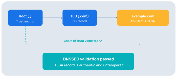 What is DANE? DNS-Based Authentication of Named Entities Explained (2026) Schritt 4 – Der Client überprüft die DNS-Antwort mithilfe von DNSSEC