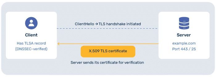 What is DANE? DNS-Based Authentication of Named Entities Explained (2026) Schritt 5 – Der Server legt sein TLS-Zertifikat vor –