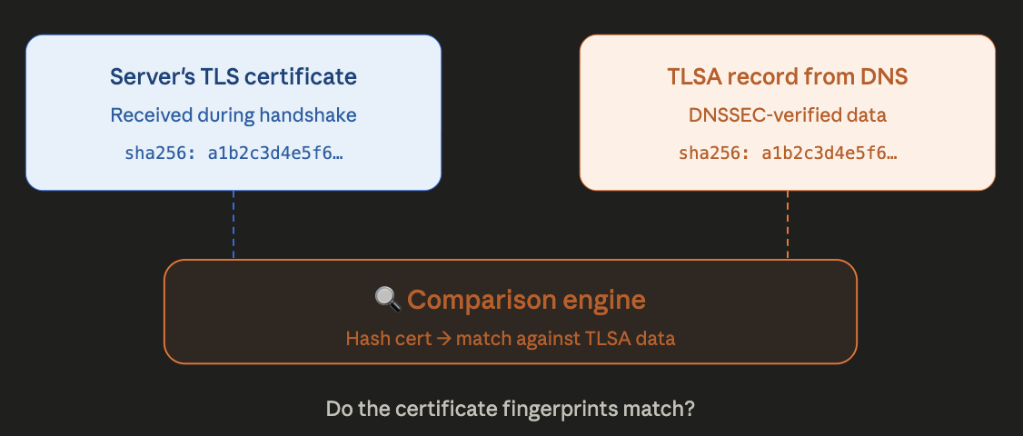 Il client confronta il certificato con il record TLSA
