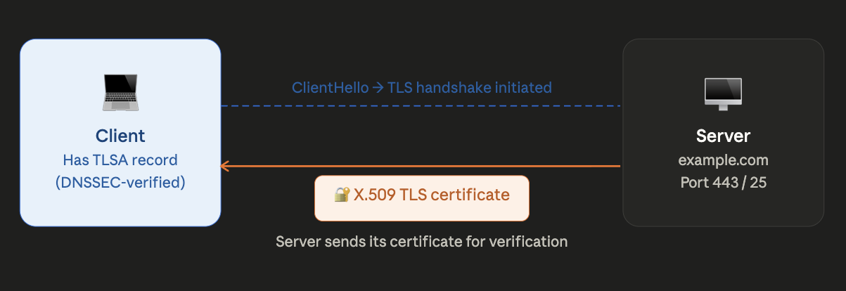 Il server presenta il proprio certificato TLS
