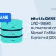 Czym jest DANE – wyjaśnienie uwierzytelniania nazwanych podmiotów w oparciu o DNS (2026)
